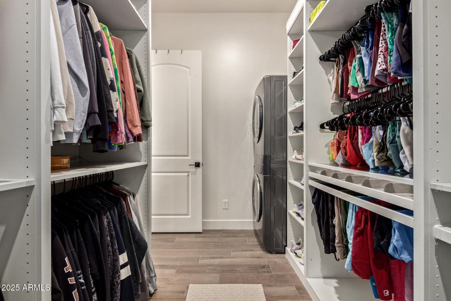 28 - Hummingbird 28 - Hummingbird