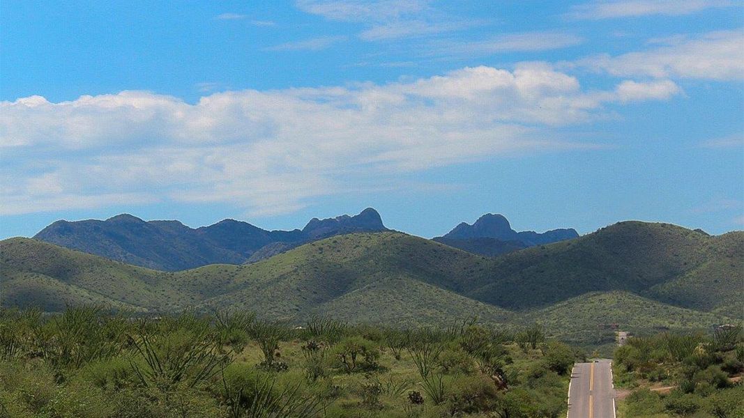Image 44 of a home in Sycamore Vista.