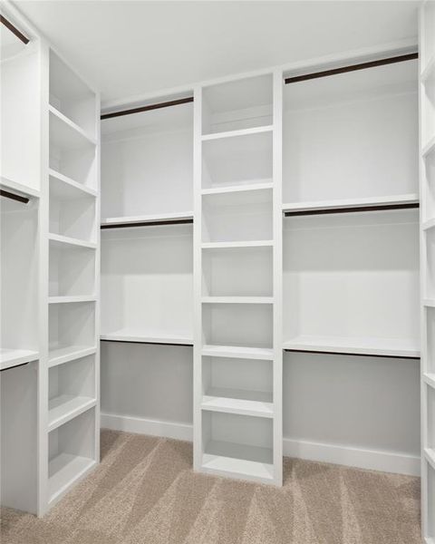 Spacious closet featuring carpet