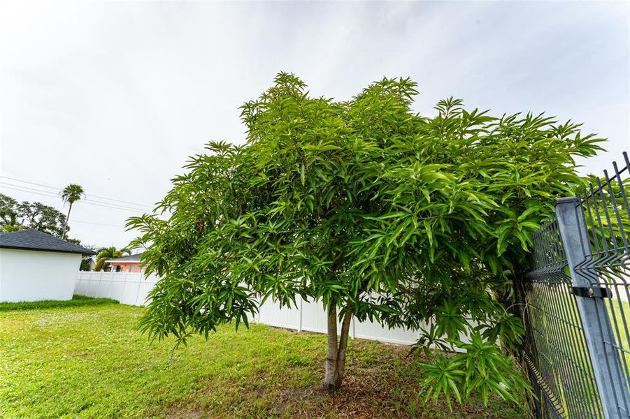 Image 35 of a home in .