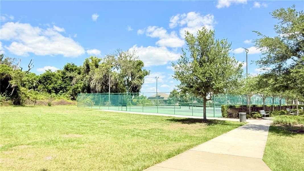 Natural landscape and outdoor views near  in Kissimmee (Image 41).