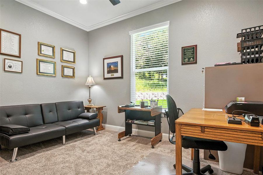 Furnished interior view inside a new home in , Winona (Image 7).