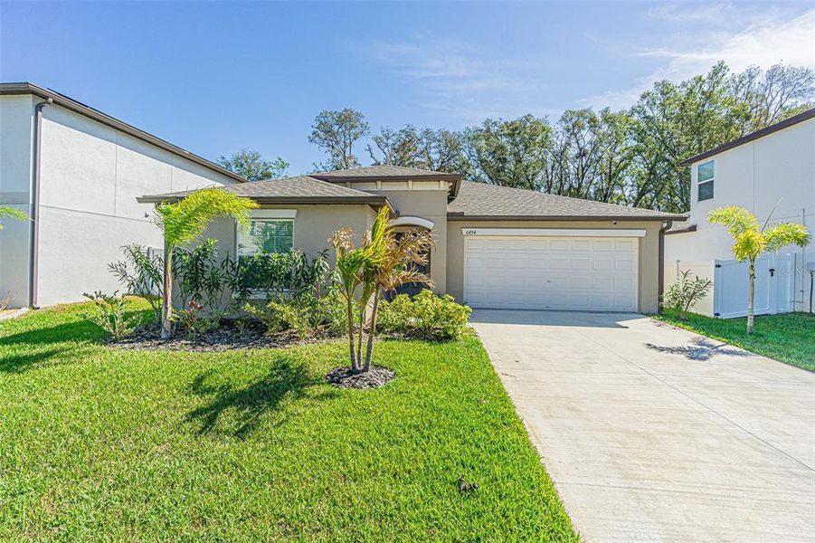 Beautiful Florida landscape!