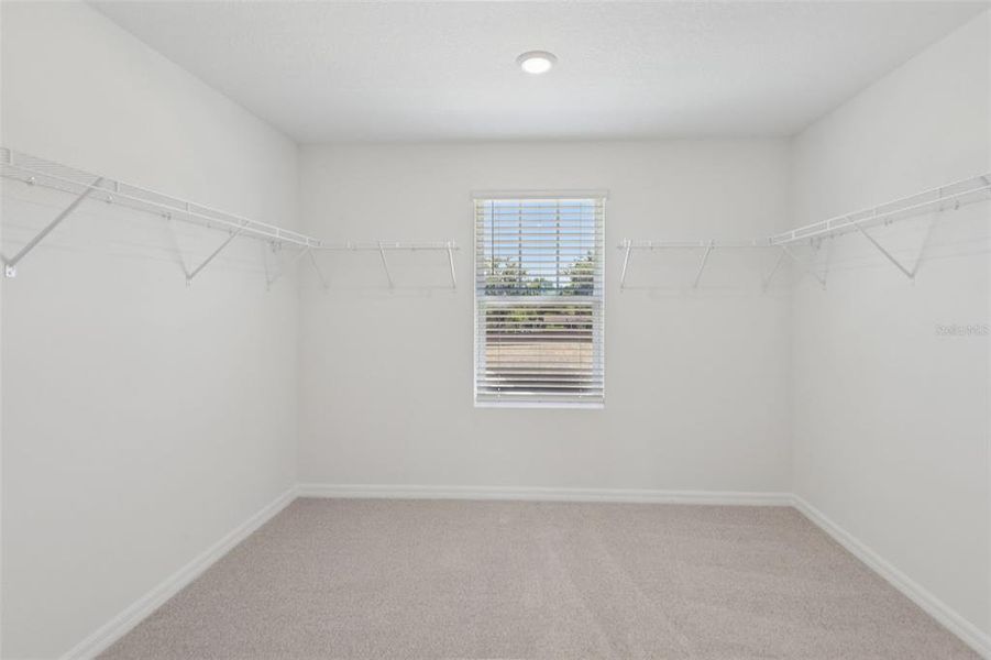Spacious, unfurnished interior of a new home in Hilltop Vistas, Dade City (Image 31).