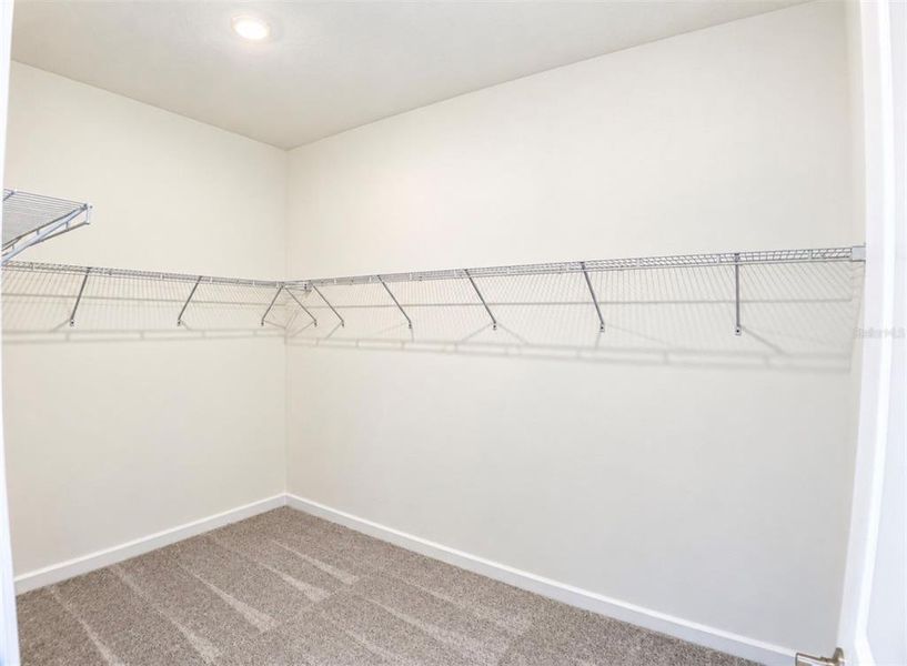 Spacious, unfurnished interior of a new home in Angeline Active Adult, Land O' Lakes (Image 33).