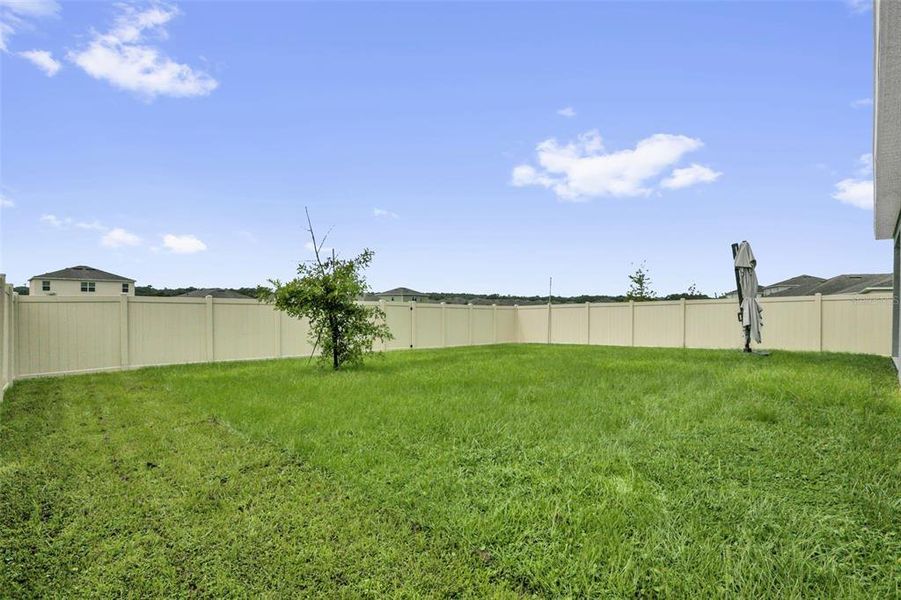 Exterior details and patio area of a home in Timberwalk, Mount Dora (Image 4).