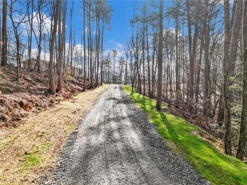 Natural landscape and outdoor views near  in Lula (Image 33).