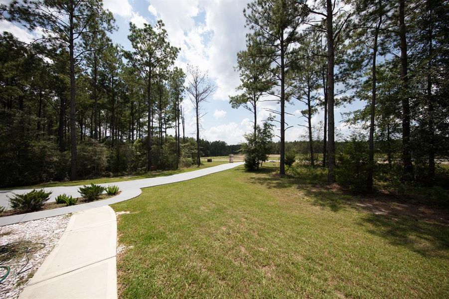 This photo shows a spacious, grassy backyard bordered by tall trees, offering a serene, wooded view. A paved walkway curves through the landscape, providing easy access and enhancing the natural setting.