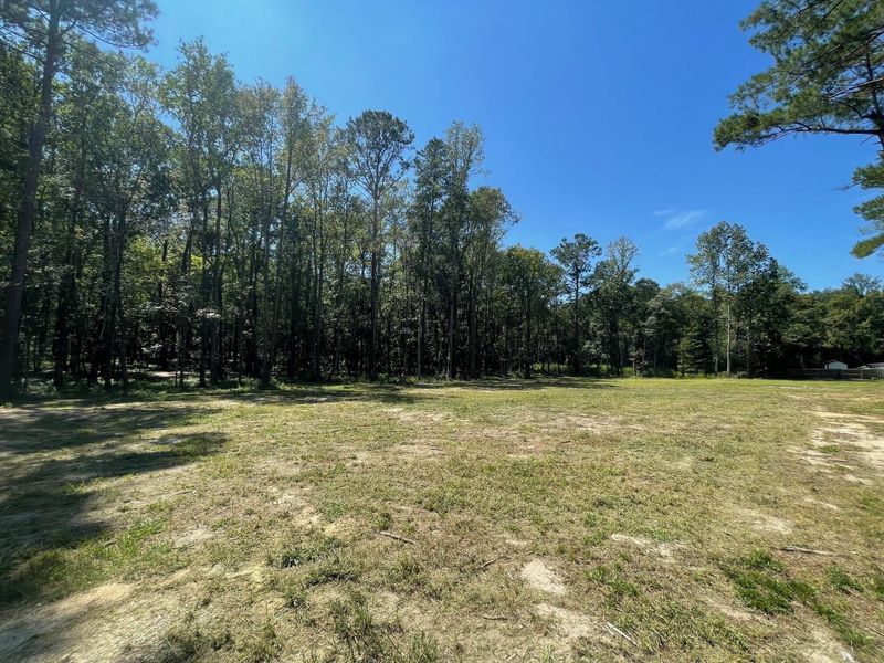 Natural landscape and outdoor views near  in Summerville (Image 14).