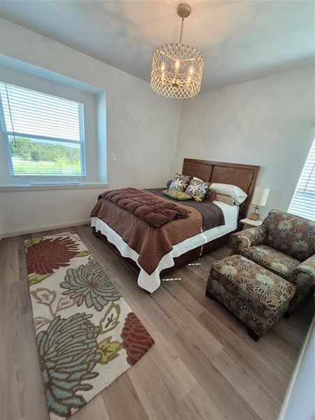 Bedroom featuring multiple windows, wood finished floors, and a chandelier