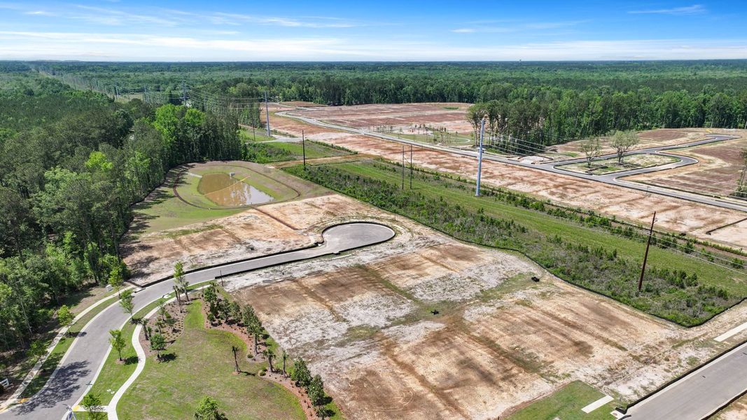 Site preparation for new homesites in Pineview North, Summerville (Image 28).