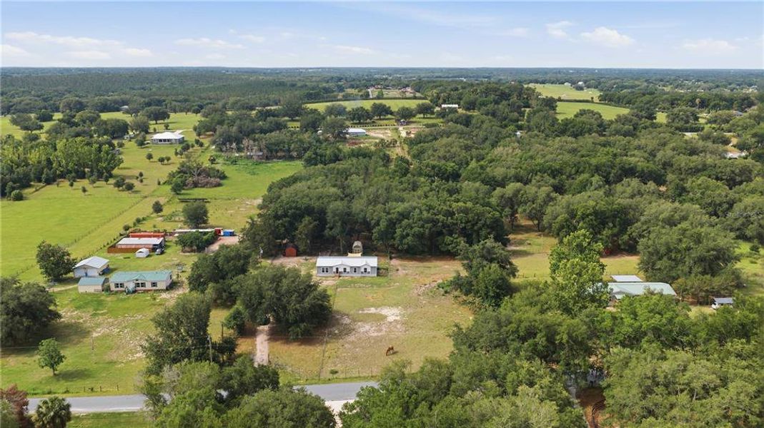Natural landscape and outdoor views near  in Weirsdale (Image 29).