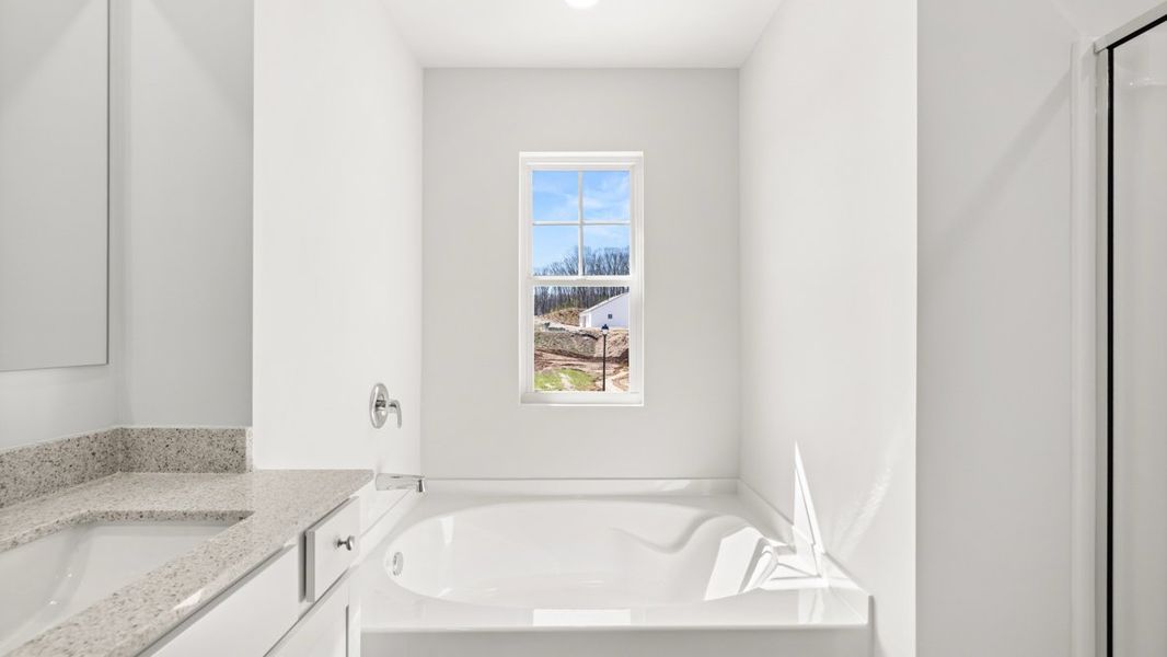 Representative furnished interior of a home built from the Hayden by D.R. Horton in Liberty Crossing, Braselton (Image 12).