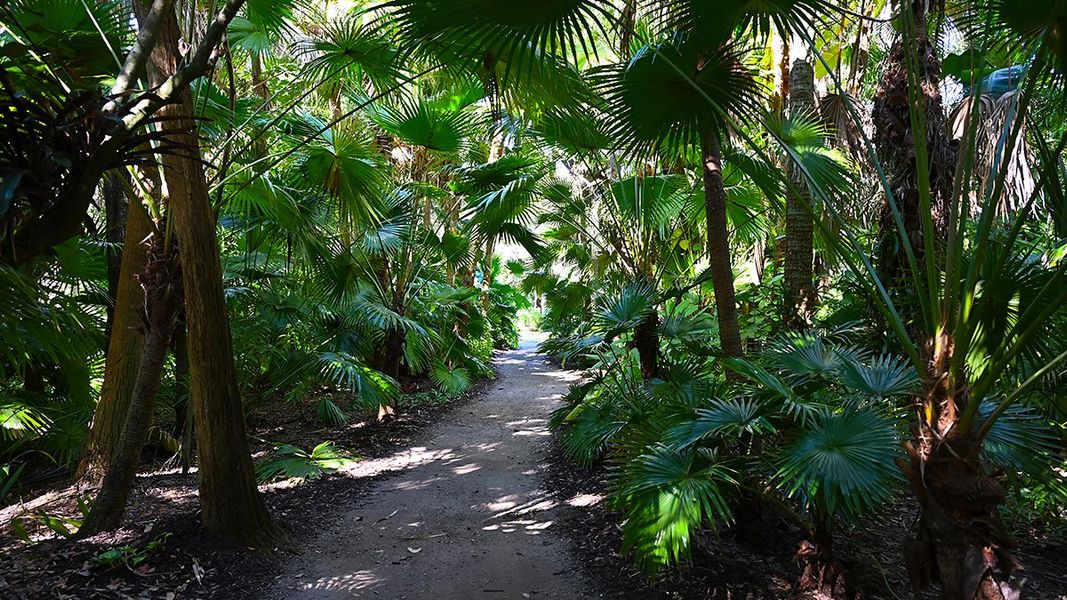 Natural landscape and outdoor views near Veranda Oaks in Port St. Lucie (Image 88).
