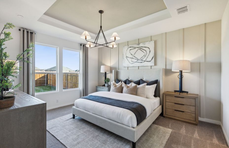 Owner's suite with tray ceiling