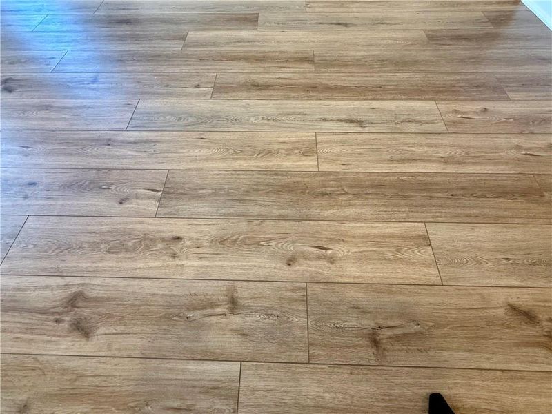 Close-up of interior finishes inside a home in Ponderosa Farms Manor, Gainesville (Image 20).