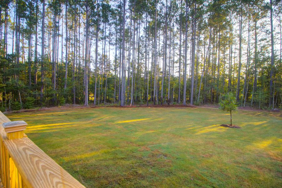 Natural landscape and outdoor views near in Moncks Corner (Image 45). Natural landscape and outdoor views near in Moncks Corner (Image 45).