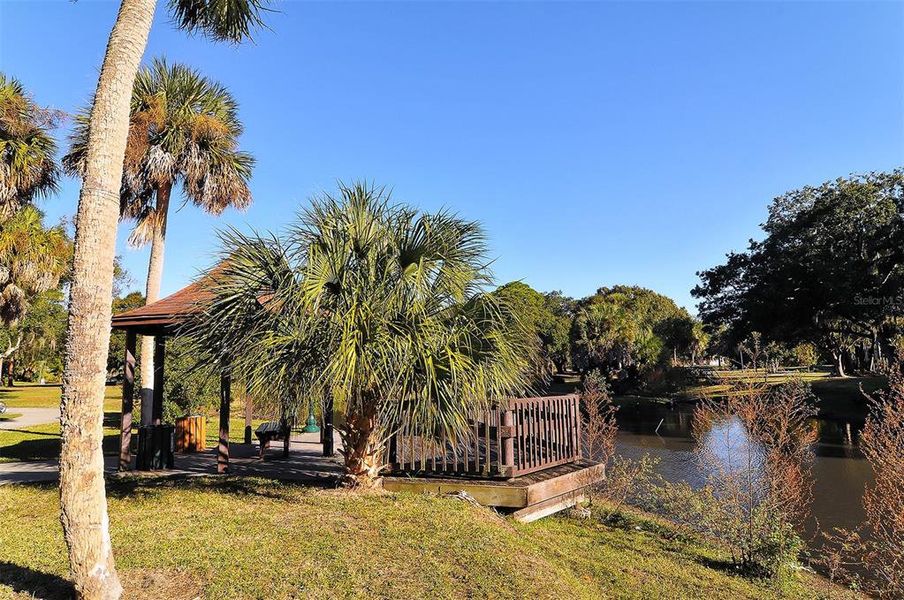 Natural landscape and outdoor views near in Sarasota (Image 43). Natural landscape and outdoor views near in Sarasota (Image 43).