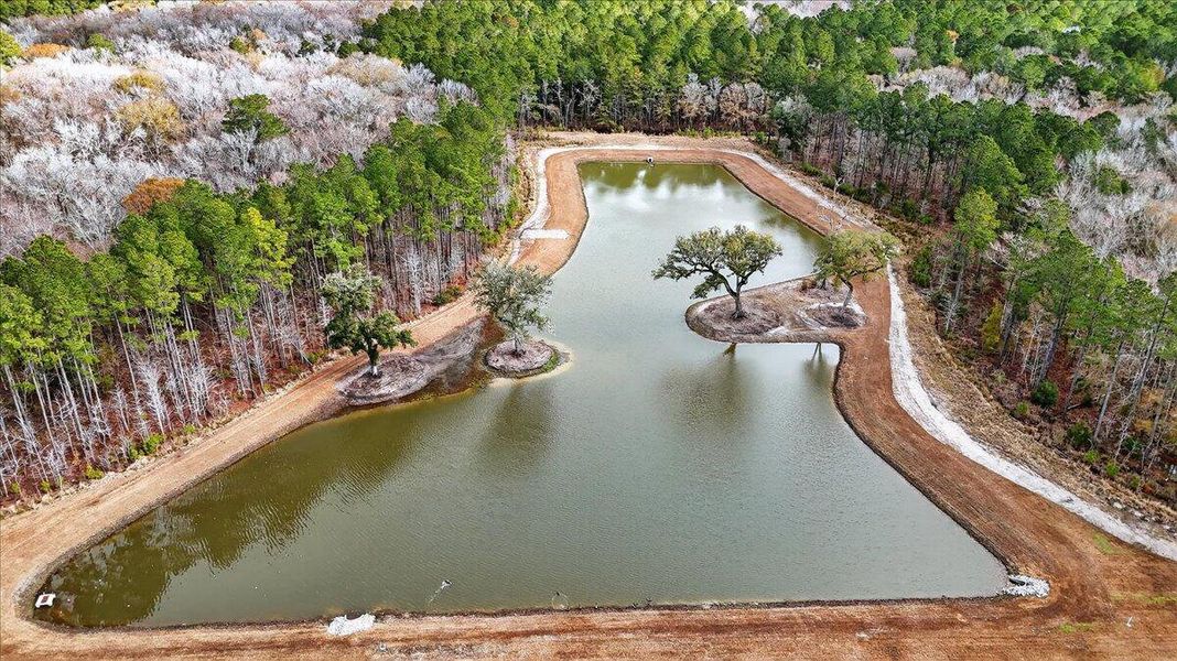 Natural landscape and outdoor views near Heron's Walk at Summers Corner in Summerville (Image 35). Natural landscape and outdoor views near Heron's Walk at Summers Corner in Summerville (Image 35).