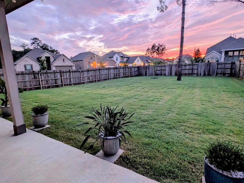 Backyard Backyard