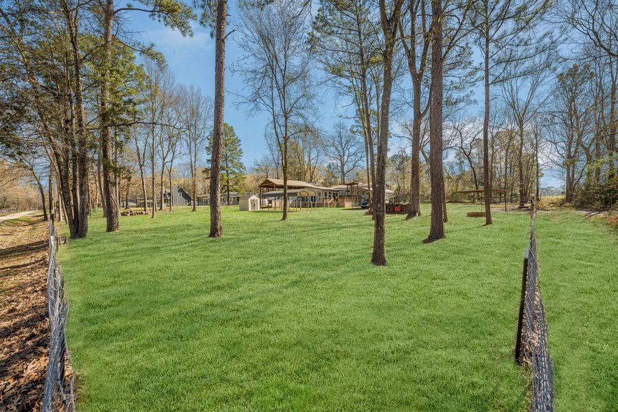 Natural landscape and outdoor views near  in Coldspring (Image 46).