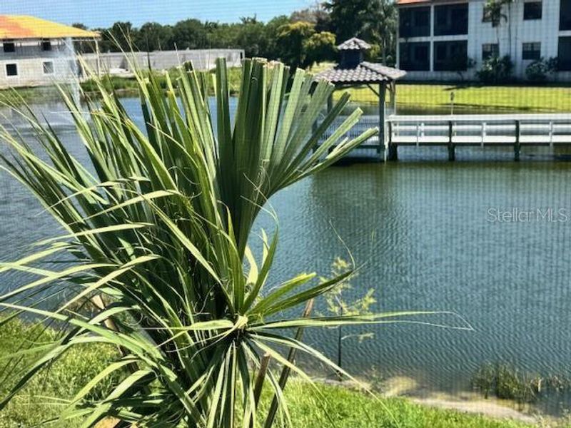 Natural landscape and outdoor views near  in Bradenton (Image 6).