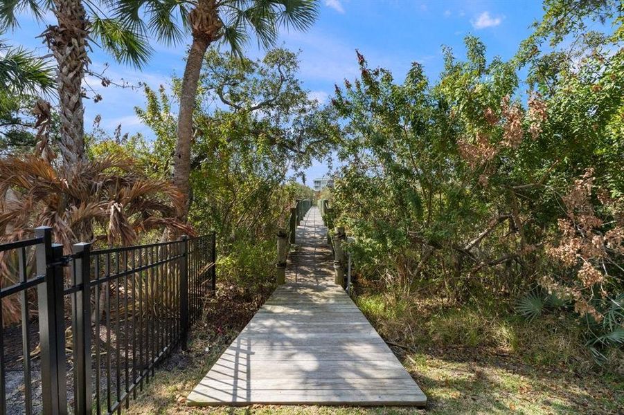 Natural landscape and outdoor views near  in New Smyrna Beach (Image 58).