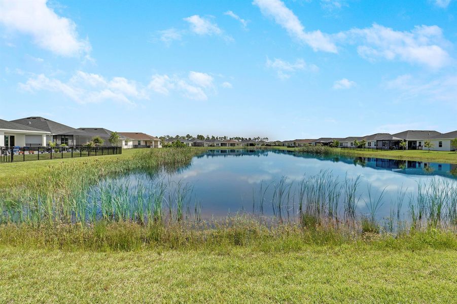 Lake Views