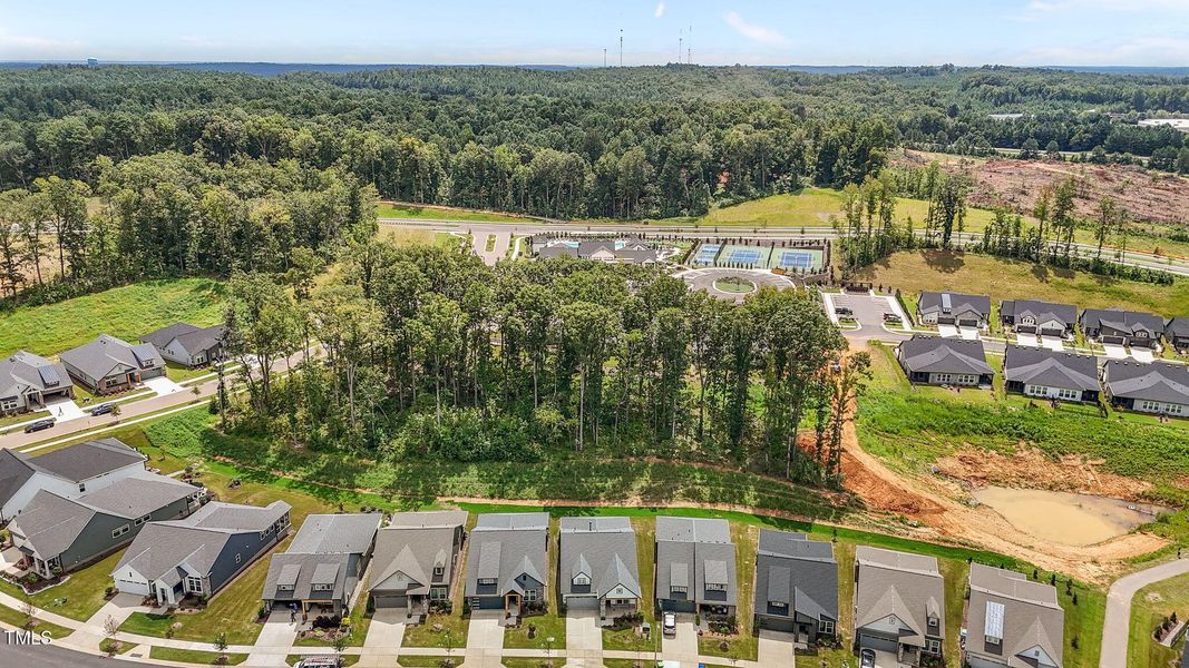 52-web-or-mls-DJI_20250821134405_0683_D