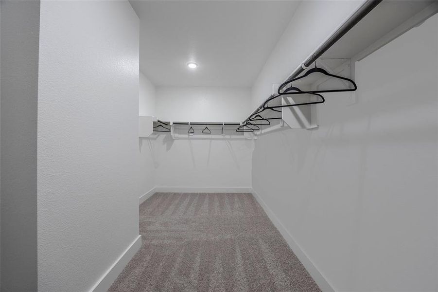 Spacious closet with carpet floors