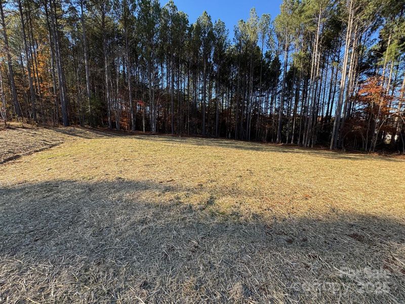 Natural landscape and outdoor views near  in Granite Falls (Image 24).