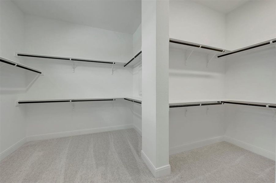 Walk-in closet featuring light gray carpeting, white walls, multiple shelving units, and black hanging rods Walk-in closet featuring light gray carpeting, white walls, multiple shelving units, and black hanging rods