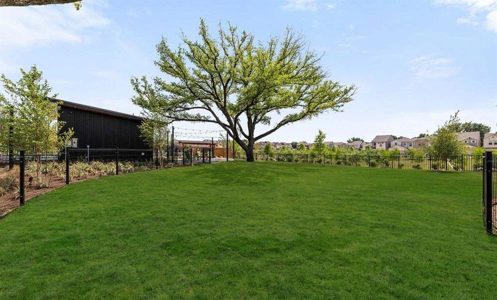 Sereno Oaks Dog Park