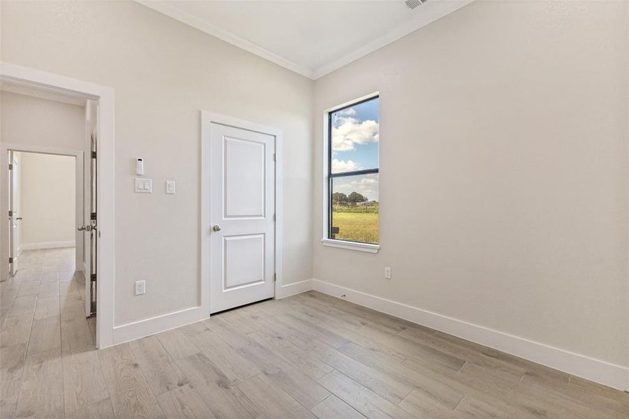 Light wood-finish flooring with white baseboards and crown molding