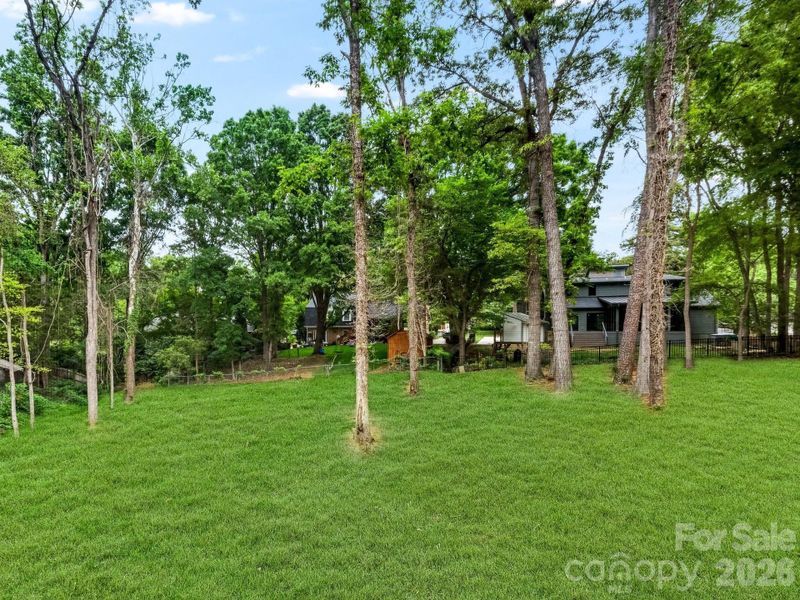 Natural landscape and outdoor views near  in Charlotte (Image 38).