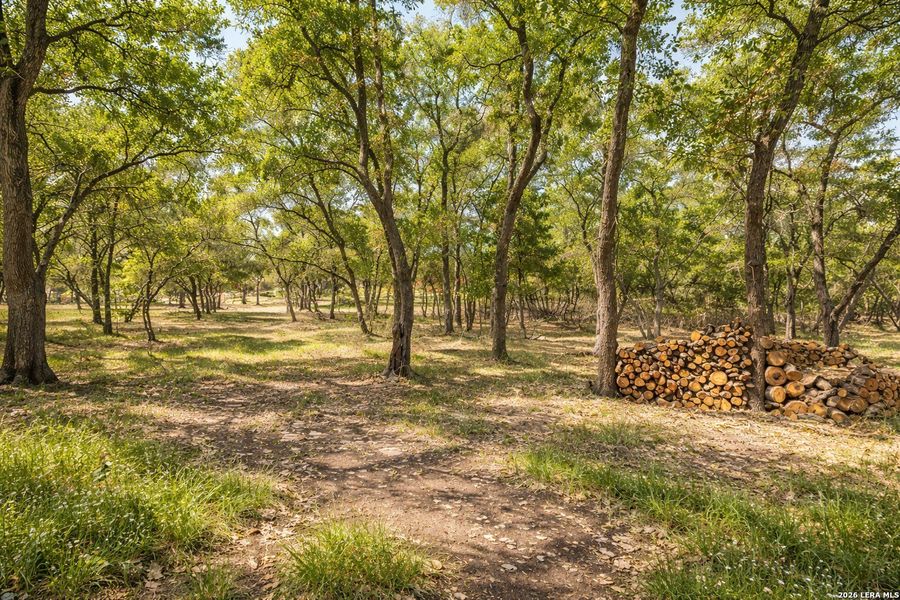 Natural landscape and outdoor views near  in Blanco (Image 28).