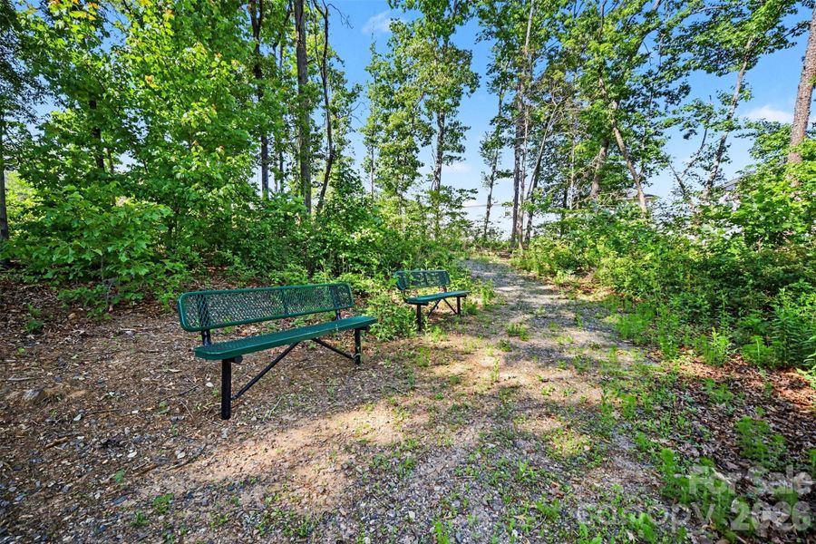 Natural landscape and outdoor views near Shepherds Landing in Mooresville (Image 36).