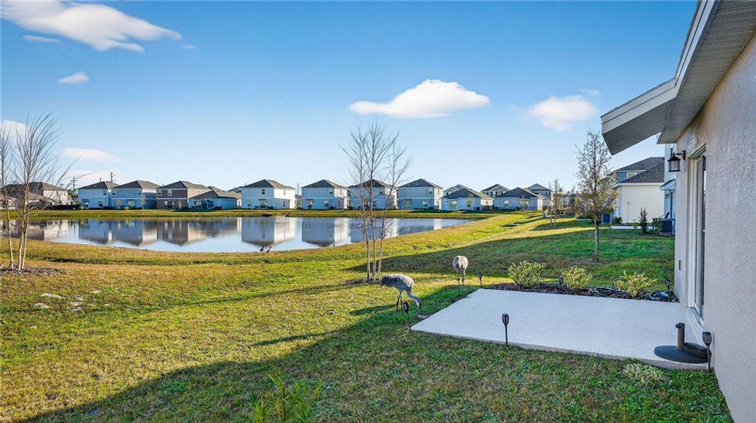 Exterior details and patio area of a home in Preserve at LPGA: Manor Collection, Daytona Beach (Image 21).