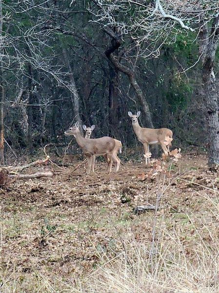 Image 19 of a home in .