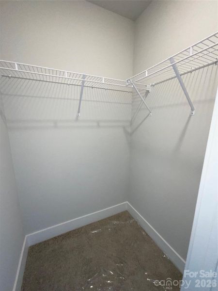 Spacious, unfurnished interior of a new home in Pine Trace, Gastonia (Image 12).