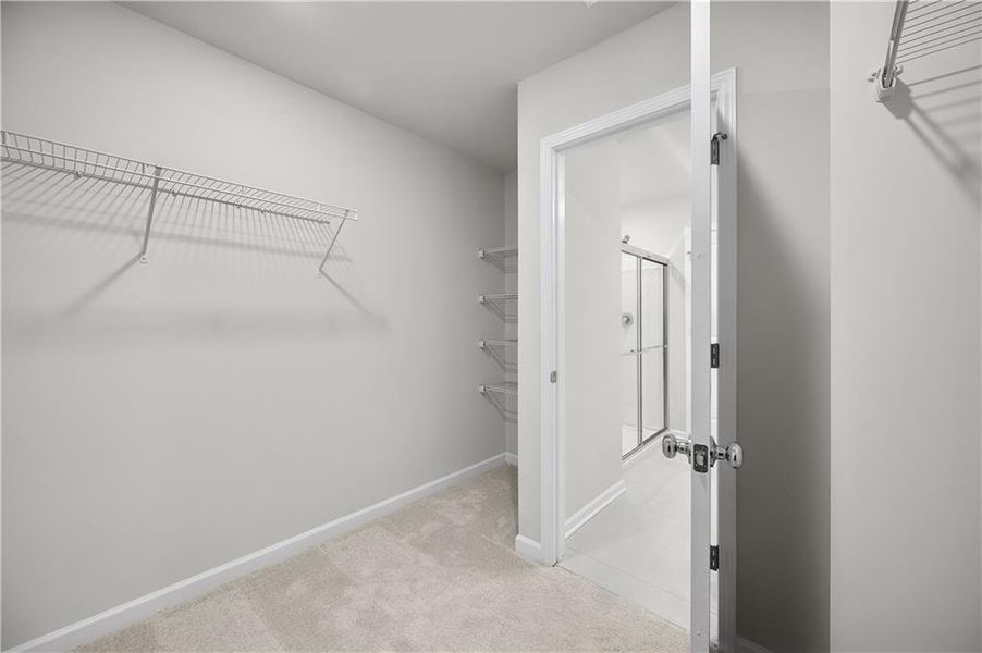 Spacious, unfurnished interior of a new home in Avery Ridge, Gainesville (Image 25).