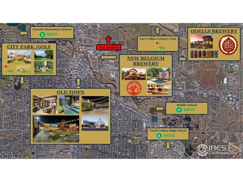 So much to see so much to do!