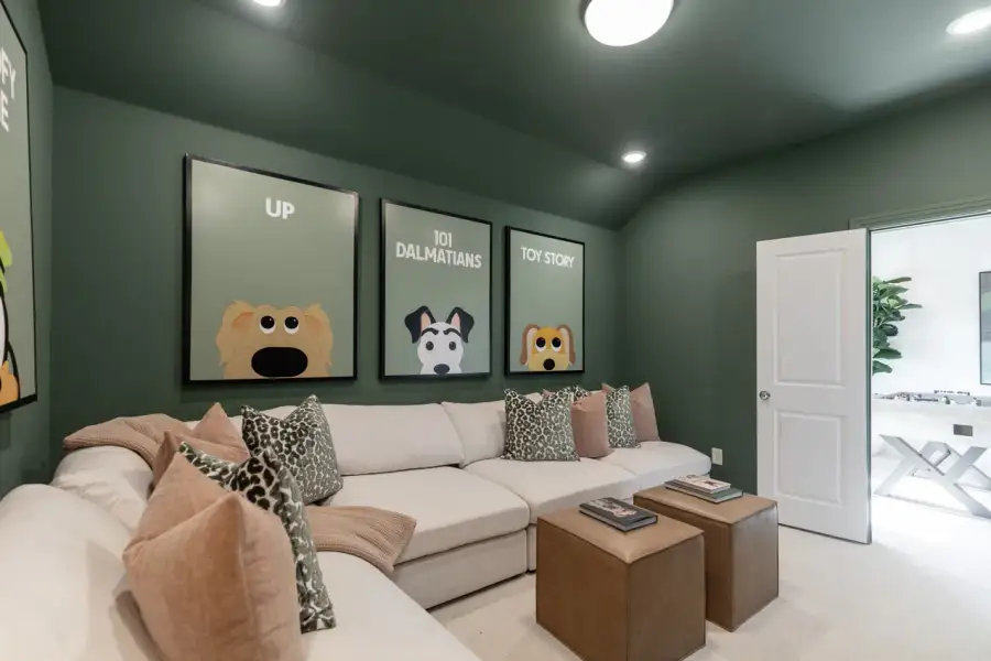 Representative Entertainment Room - some options shown