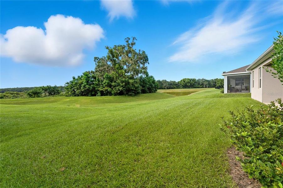 Natural landscape and outdoor views near  in Dade City (Image 37).