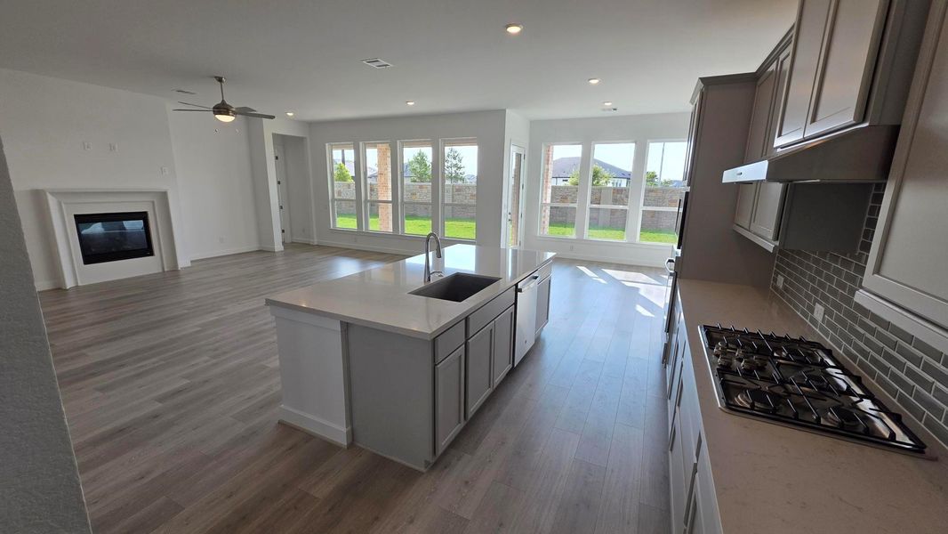 29006 Vermillian Canyon Ct 29006 Vermillian Canyon Ct