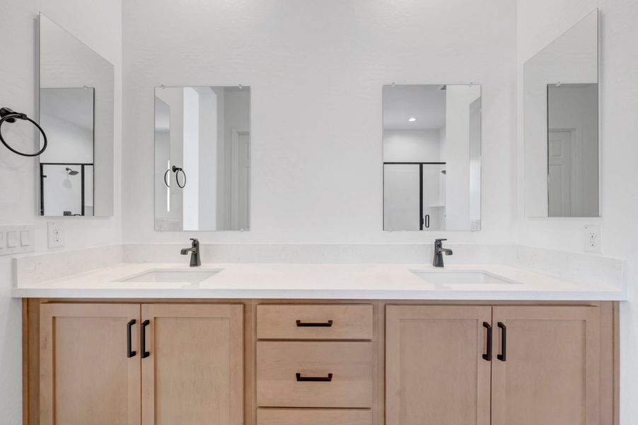 Owner's Bath