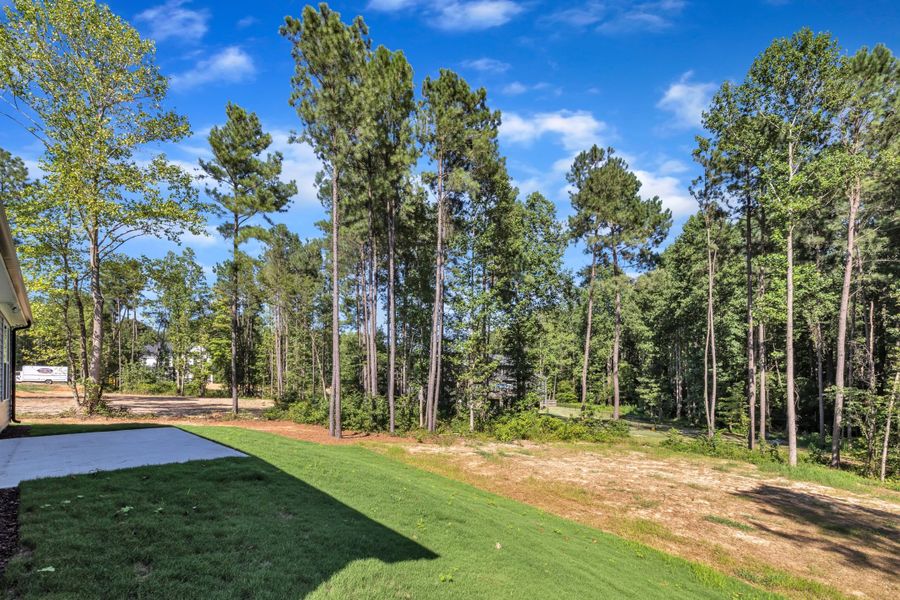 Outdoor and nature views near homes built from the The Bradley by RobuckHomes in Baylee Ridge, Selma (Image 198). Outdoor and nature views near homes built from the The Bradley by RobuckHomes in Baylee Ridge, Selma (Image 198).