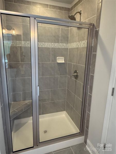 Primary Showet Primary Showet