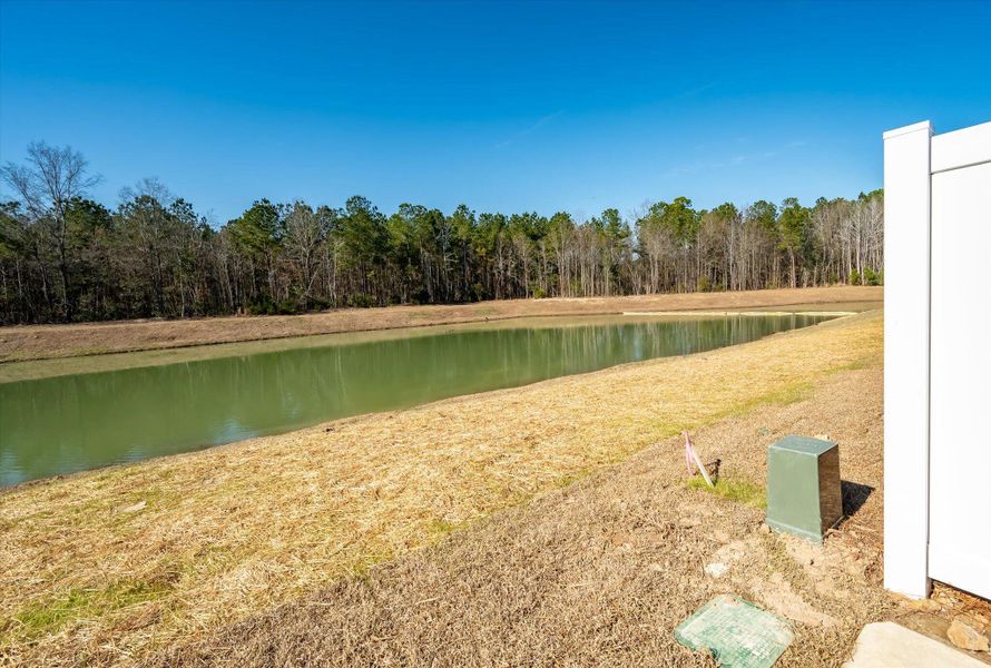 Exterior details and patio area of a home in The Landings at Montague, Goose Creek (Image 4).