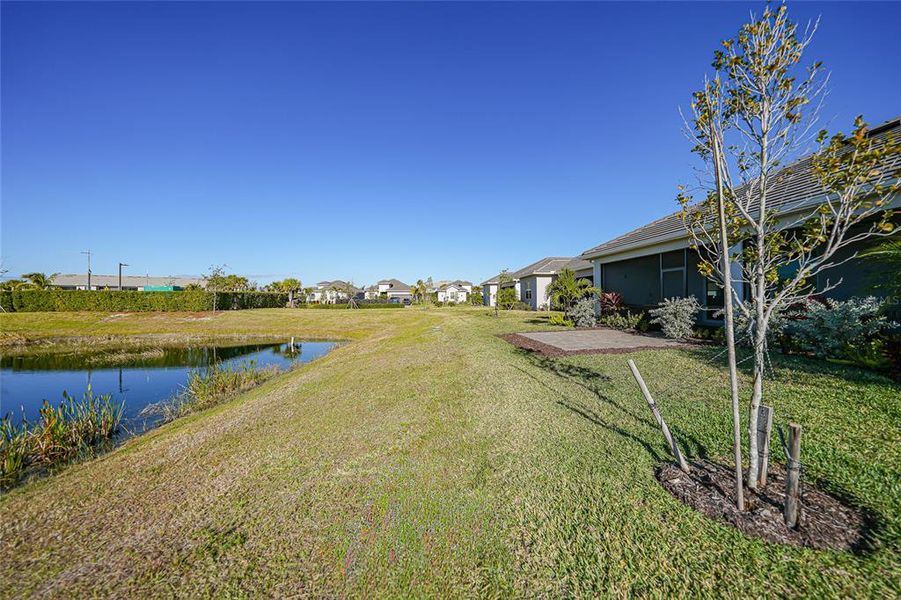 Natural landscape and outdoor views near  in Punta Gorda (Image 43).